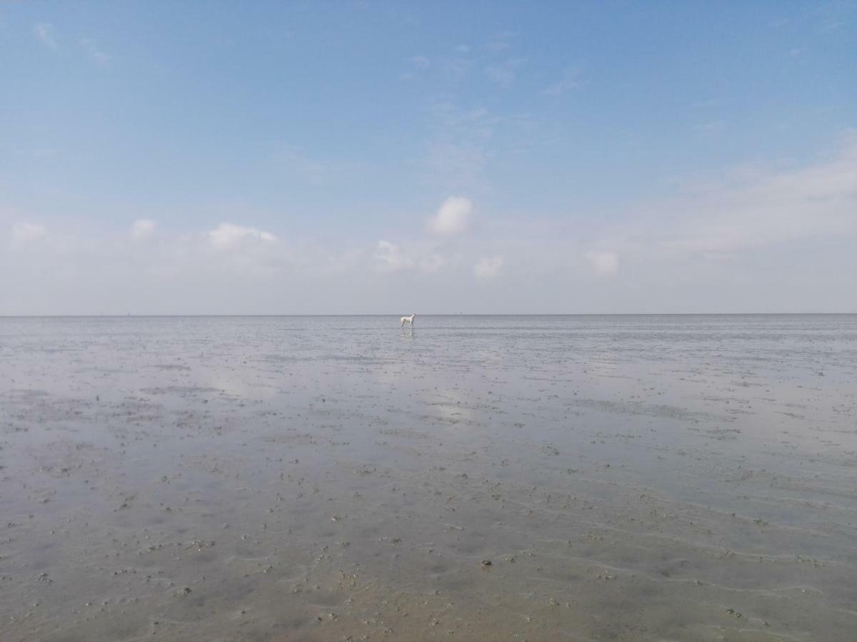 Ellie-Ferienhaus Strandräuber - VS1 Dorumer Neufeld Exterior foto